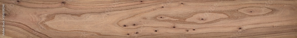 Fototapeta premium Elm long plank texture background. Old elm texture background.