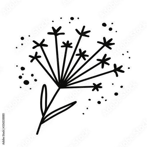 Fennel flower. Plants and botanical illustrations. Simple vector illustration.