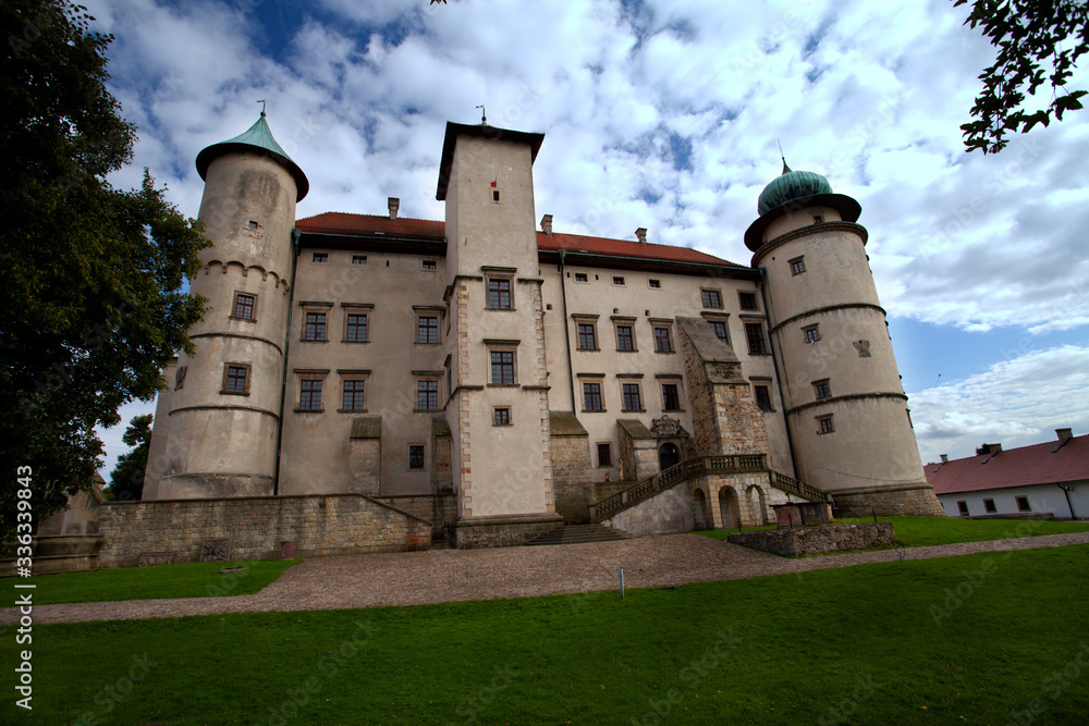 Zamek w Wiśniczu – zamek położony na zalesionym wzgórzu nad rzeką Leksandrówką w Nowym Wiśniczu
Wczesnobarokowy korpus zamku z elementami renesansowymi zbudowano na planie czworoboku z wewnętrznym dzi