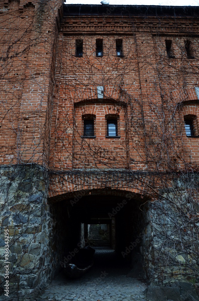 Radomyshl' castle 4/01/2020 Radomyshl' castle 4/01/2020