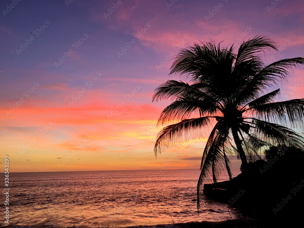 Sunset on the beach, silhouette of palm tree in ocean.