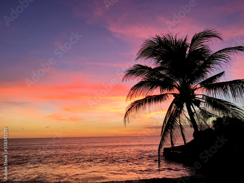 Sunset on the beach, silhouette of palm tree in ocean. © leo_nik