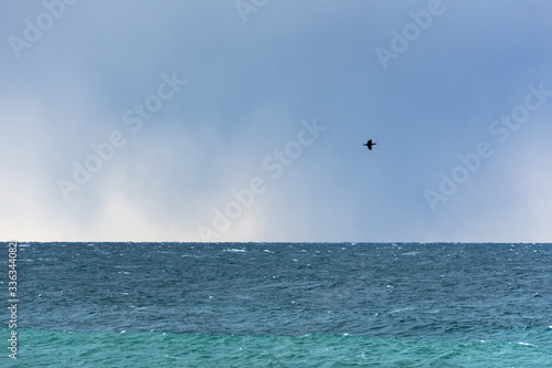 Beautiful wide landscape view of the Black sea on a cloudy day before a storm. Sea on a cloudy day and a bird flying over the horizon