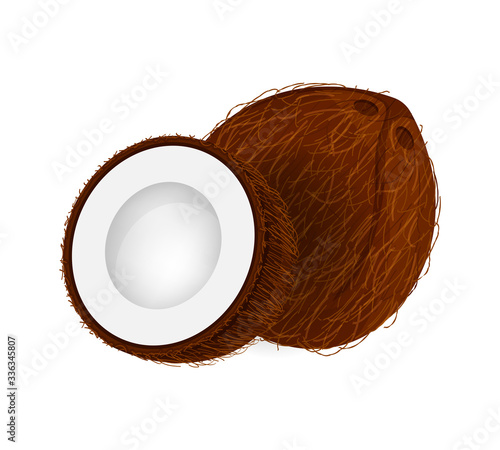 coconut brown fruit and half cut isolated on white background, illustration coconut brown half slice for clip art, coconut simple for icon