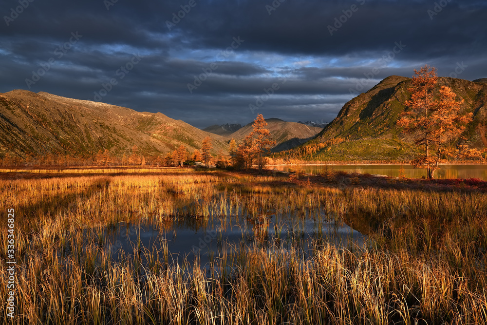 Golden autumn on mountain lake, Kolyma, Jack London Lake, Magadan region, Russia
