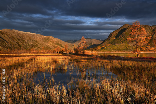 Golden autumn on mountain lake, Kolyma, Jack London Lake, Magadan region, Russia