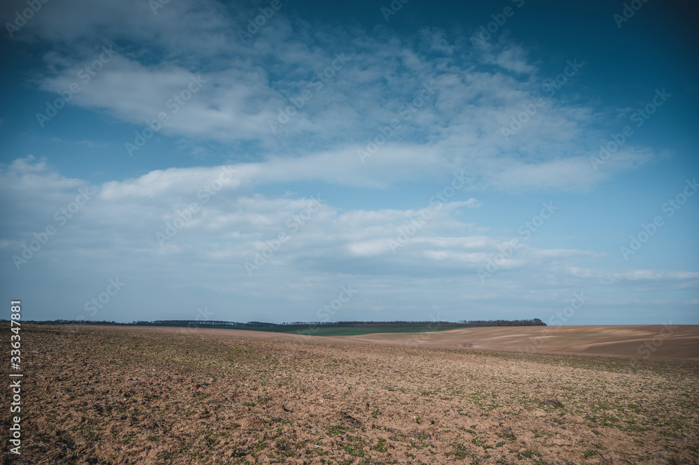 Spring field landscape. Blue sky with white clouds in background. Spring field landscape. Blue sky with white clouds in background.