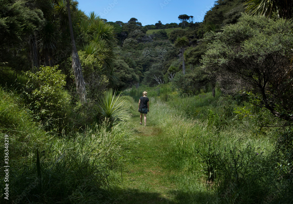 Walking a trail at Tāwharanui Regional Park New Zealand