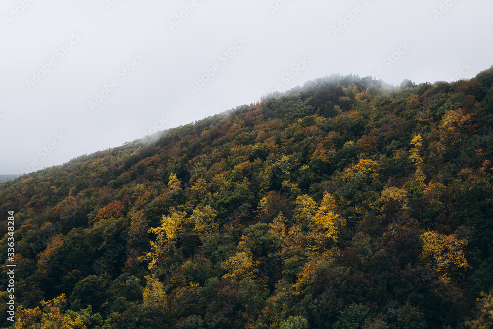 landscape view in autumn cloudy day on a yellow-green forest growing in the hills