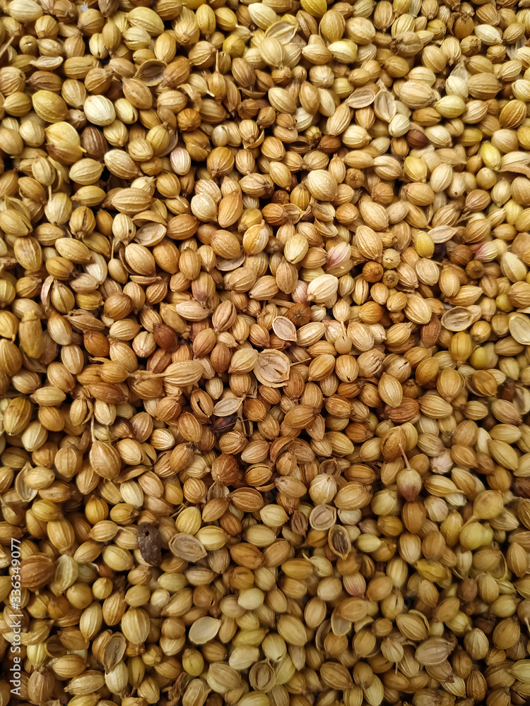 Dried coriander seeds arranged as background. Dhaniya Nepal Dried coriander seeds arranged as background. Dhaniya Nepal