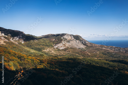 landscape view of the green forest and Mount Demerdzhi against the background of the city by the sea on a bright summer day