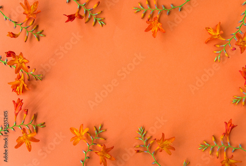 Beautiful floral frame. Orange flowers on orange background. Space for text