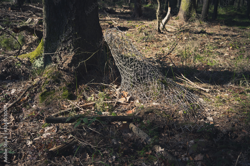 Obraz premium Wald Umweltverschmutung