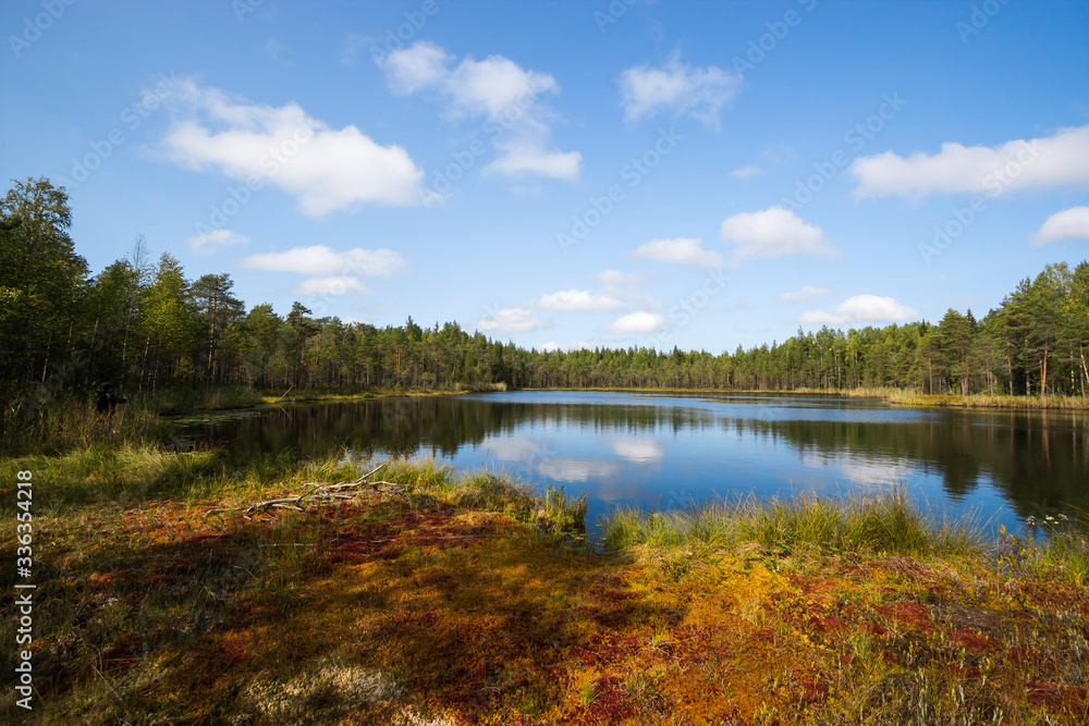 A beautiful small forest lake with clear blue water in the forest, a Lava spring lake.
