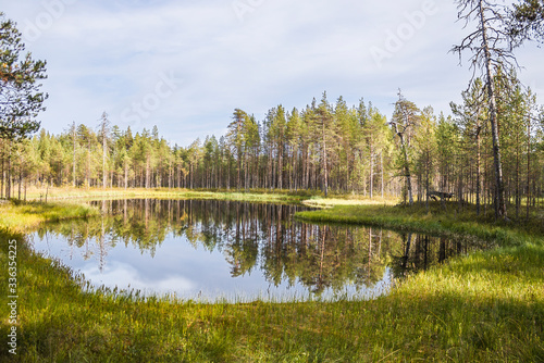 Fototapeta Naklejka Na Ścianę i Meble -  A beautiful small forest lake with clear blue water in the forest, a Lava spring lake.