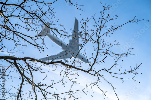 Airplane framed by tree