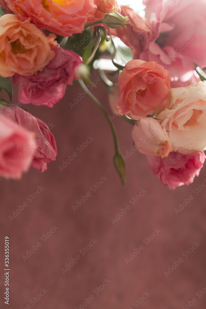 Beautiful background eustoma flowers on pink background for holiday illustration Beautiful background eustoma flowers on pink background for holiday illustration