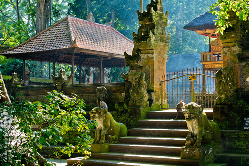 The sacred temple monkeys in the forest. Monkey forest, Ubud, Bali, Indonesia.