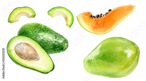 Papaya avocado watercolor illustration isolated on white background