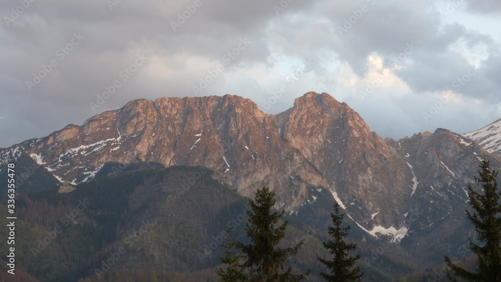 Tarty Giewont 