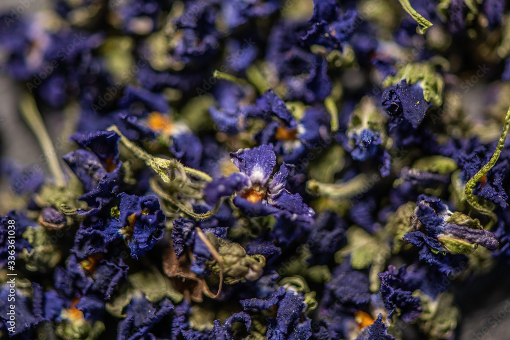 Φωτογραφία filled frame close up of purple viola violeta odorata dry dried blossom flower h