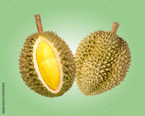 Fresh Durian Fruit on a pastel green background, Durian on the green background