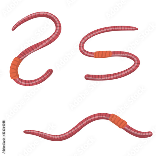 Set of earthworms. Isolated Fishing bait. Cartoon flat illustration. Crawling insects. Pink worm. Small, slimy, long animal