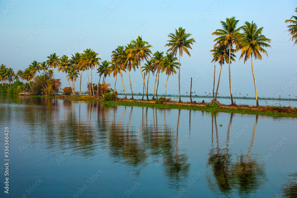 Cocanut trees on the river side with reflection on water,backwaters Alleppey Cocanut trees on the river side with reflection on water,backwaters Alleppey