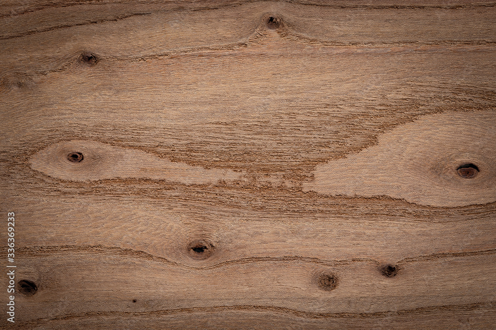 Elm texture background. Old elm wooden board texture. Elm texture background. Old elm wooden board texture.