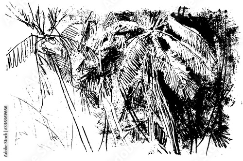 Black and White Illustration Jungle Tropics Exotic Trees at the Beach Monochrome Etching, Banana Palms at the Sea Print, Tropical Plants at the Beach Mural