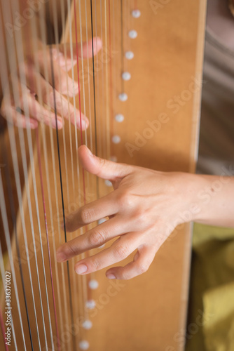 Canvas Print playing the harp