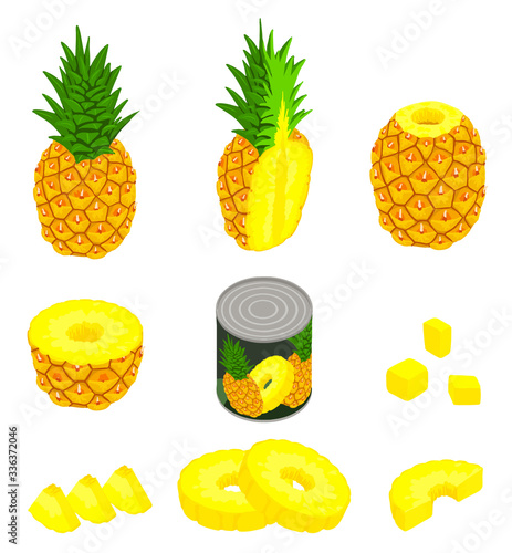 Pineapple icons set. Isometric set of pineapple vector icons for web design isolated on white background