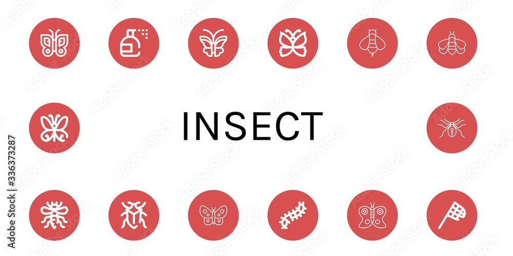 insect simple icons set insect simple icons set