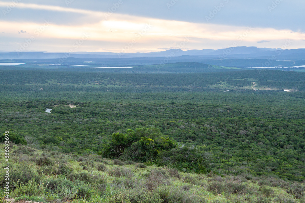 Fernblick im Addo Elephant Nationalpark in Südafrika