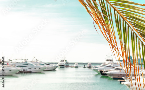 Palm branch lit by the sun. Sun glare. Seaport. Background for design. Tourist trip. Holidays at sea. Yachts in the port © nucia
