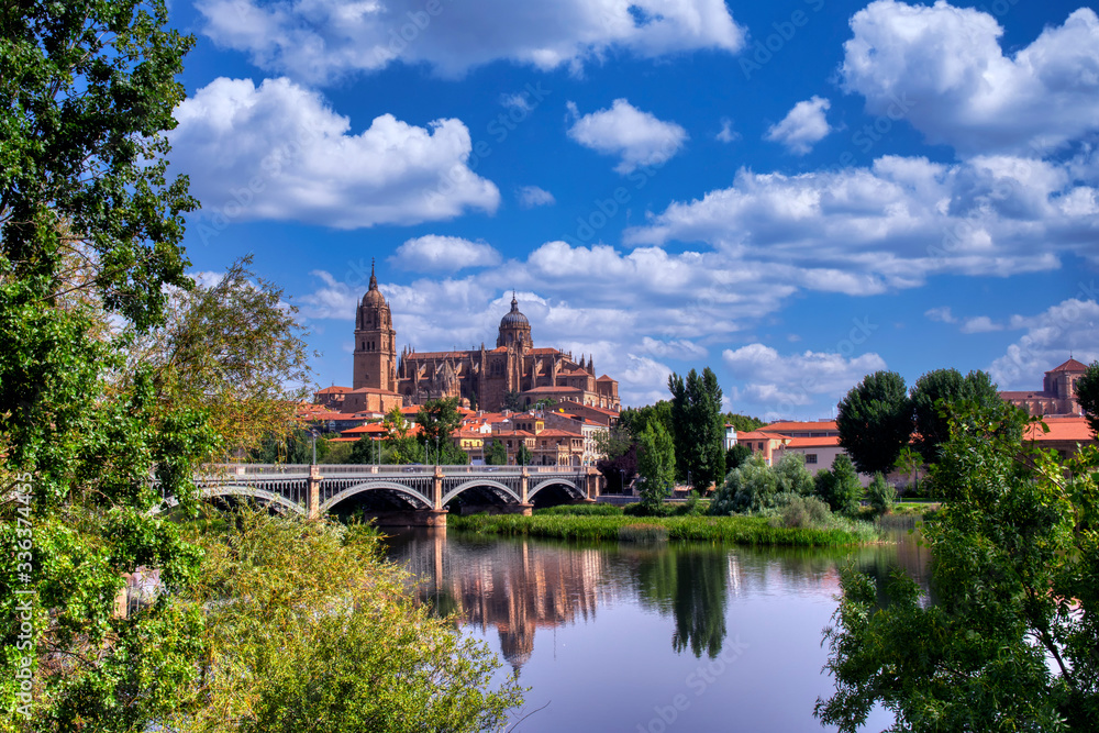 Fototapeta premium Salamanca cathedral in Castilla y Leon, Spain.