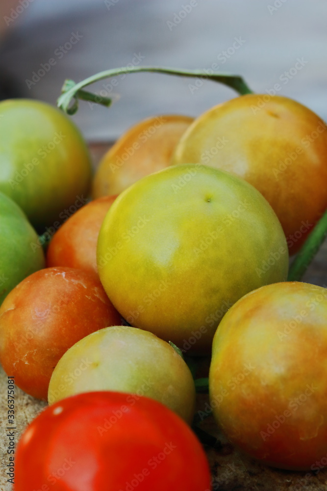 small fresh cherry tomatoes with green vines