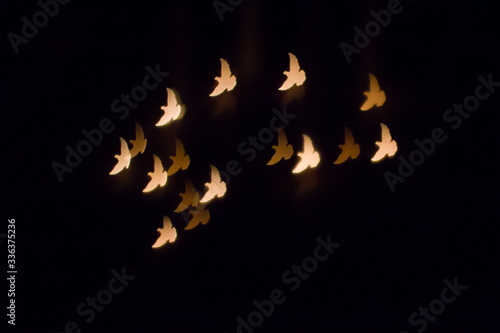 Colorful shining flying birds silhouette bokeh on a dark background