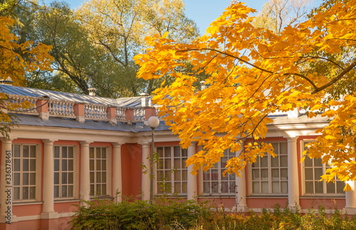 Wallpaper Mural Golden autumn in a city park Torontodigital.ca