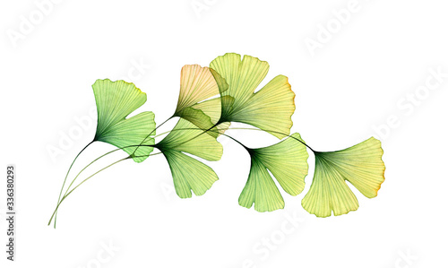 Fotografie Watercolor foliage arch