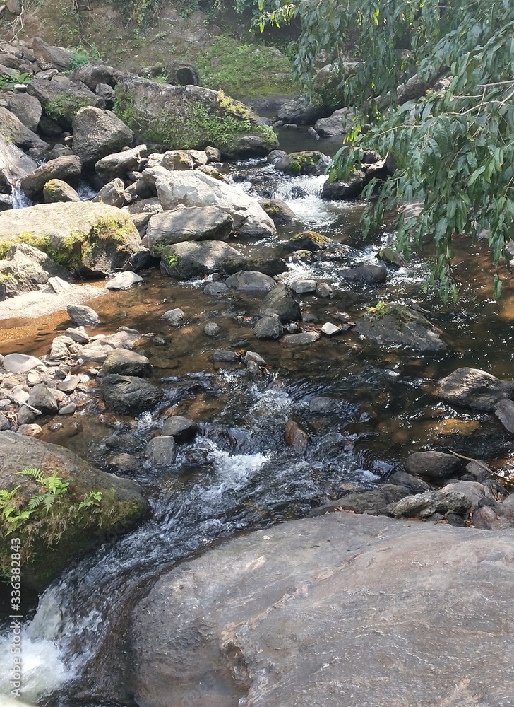 stream mid of the hilly forest stream mid of the hilly forest