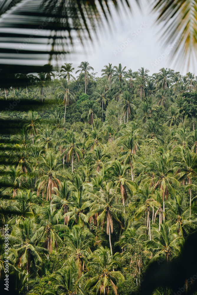 Naklejka premium Bali, Indonesia