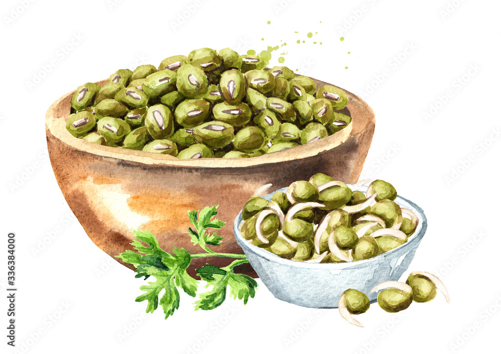Raw and Sprouted mung beans. Hand drawn watercolor illustration isolated on white background Raw and Sprouted mung beans. Hand drawn watercolor illustration isolated on white background