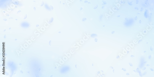 Light blue flower petals falling down. Flawless ro