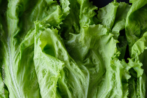 Fresh lettuce pattern, healthy lifestyle concept