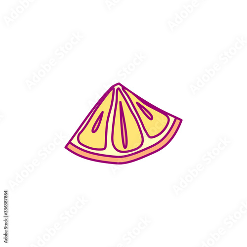 vector hand drawn cute fruit clip art. orange