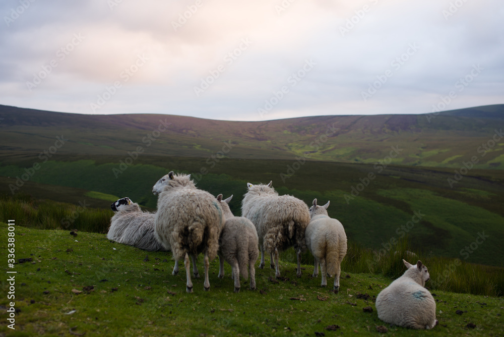 Naklejka premium Wicklow Irlandia