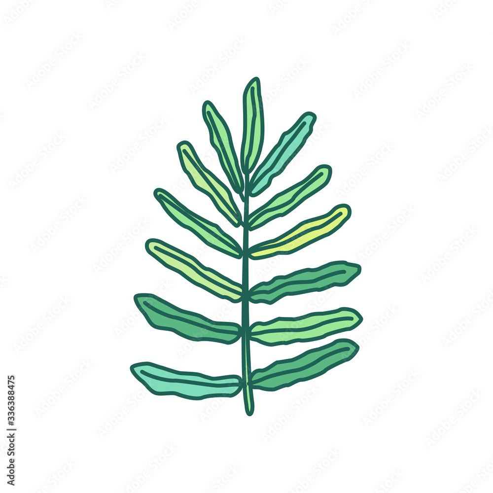 vector hand drawn cute plant clip art vector hand drawn cute plant clip art