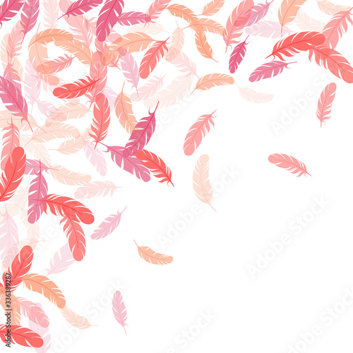 Detailed majestic feather on white design.