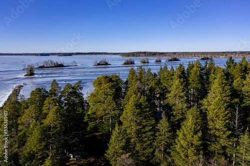 Aerial view of pine forest. On the background ice-covered lake on a sunny spring day. Joensuu  Finland.
